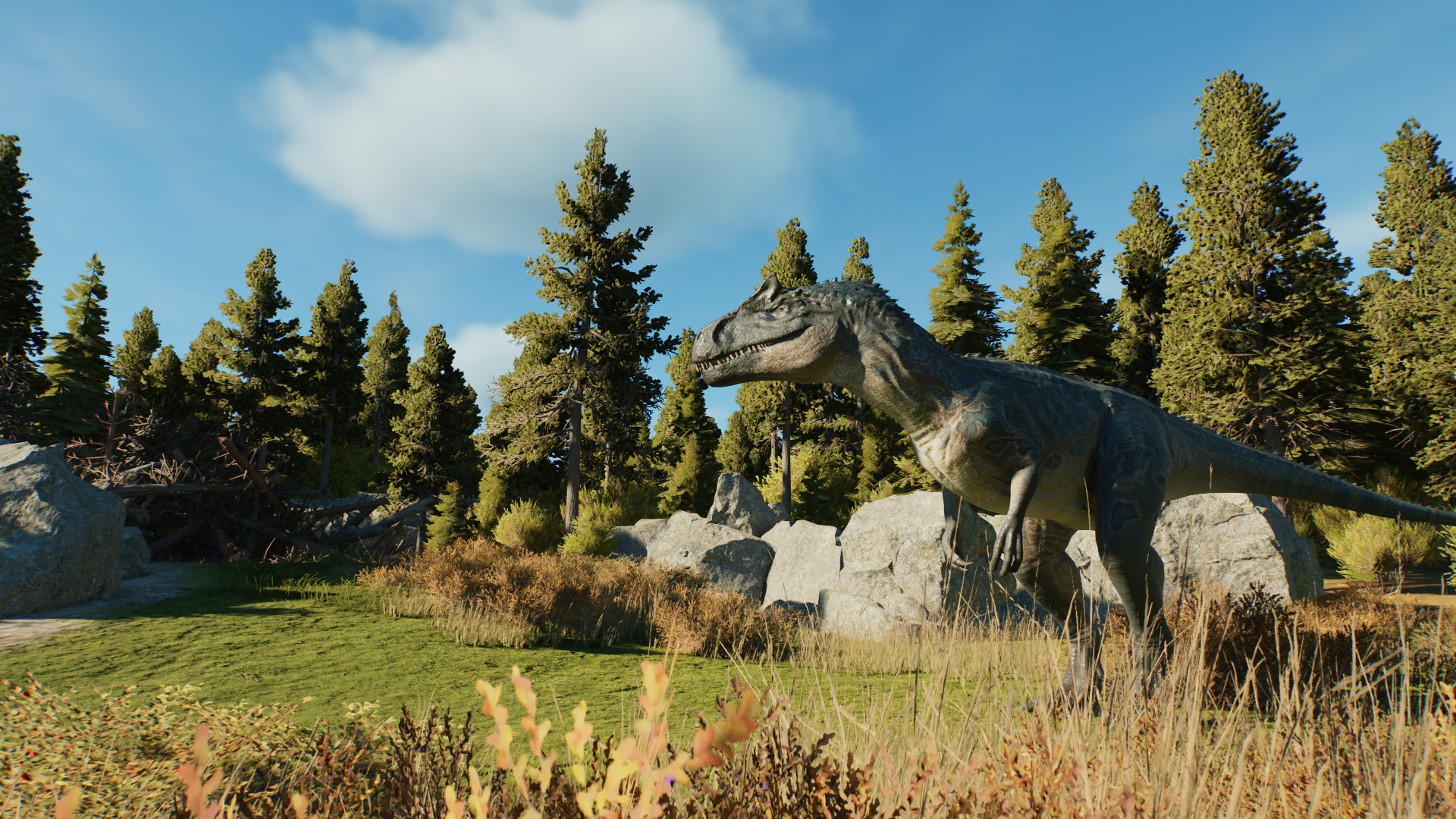 DIN Sanctuary Stream